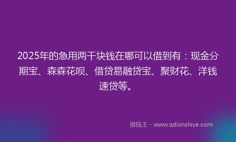 2025年的急用两干块钱在哪可以借到有：现金分期宝、森森花呗、借贷易融贷宝、聚财花、洋钱速贷等。