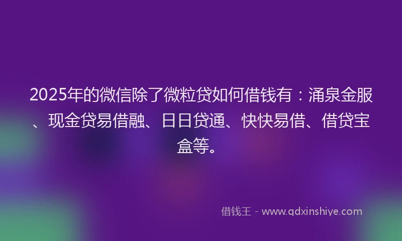 2025年的微信除了微粒贷如何借钱有：涌泉金服、现金贷易借融、日日贷通、快快易借、借贷宝盒等。