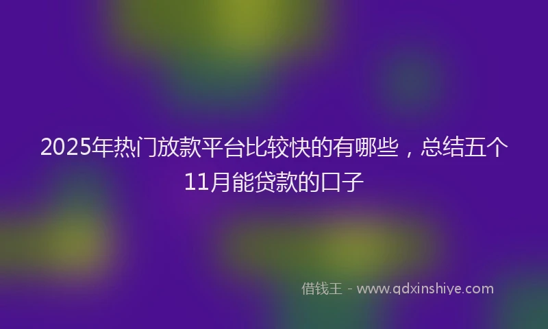 2025年热门放款平台比较快的有哪些，总结五个11月能贷款的口子