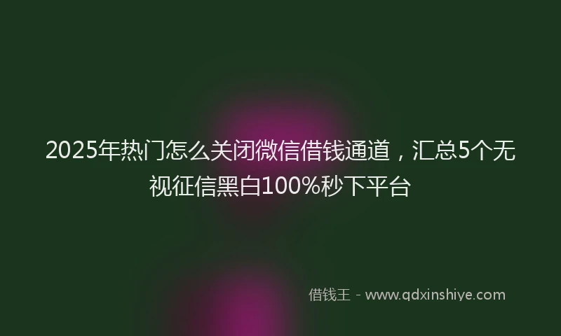 2025年热门怎么关闭微信借钱通道，汇总5个无视征信黑白100%秒下平台