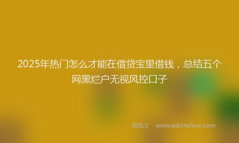 2025年热门怎么才能在借贷宝里借钱，总结五个网黑烂户无视风控口子