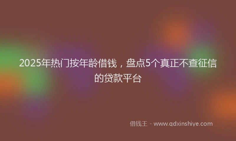 2025年热门按年龄借钱，盘点5个真正不查征信的贷款平台