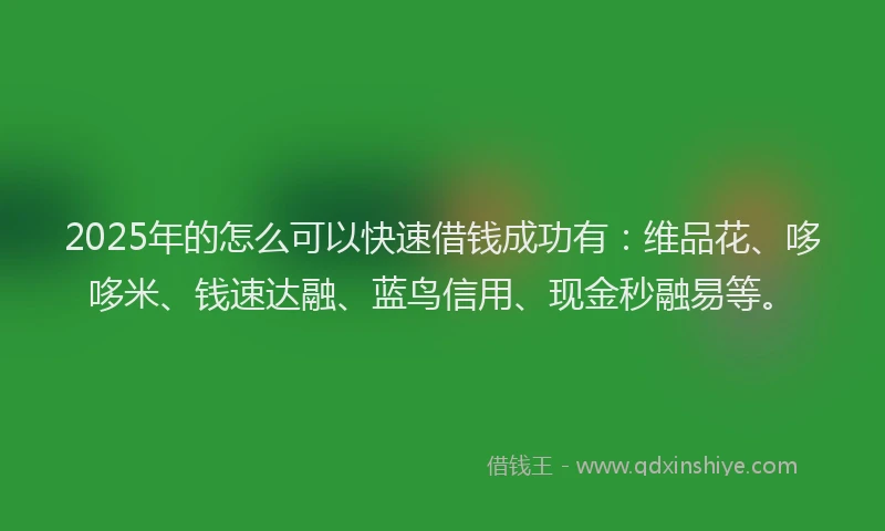 2025年的怎么可以快速借钱成功有：维品花、哆哆米、钱速达融、蓝鸟信用、现金秒融易等。