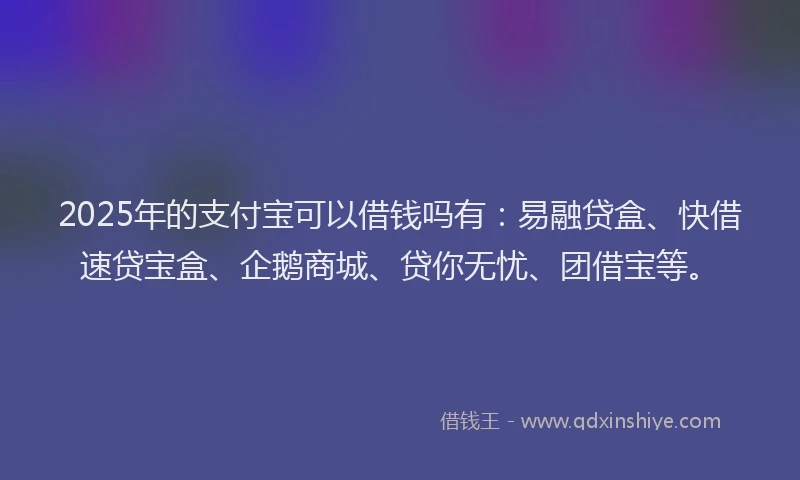 2025年的支付宝可以借钱吗有：易融贷盒、快借速贷宝盒、企鹅商城、贷你无忧、团借宝等。