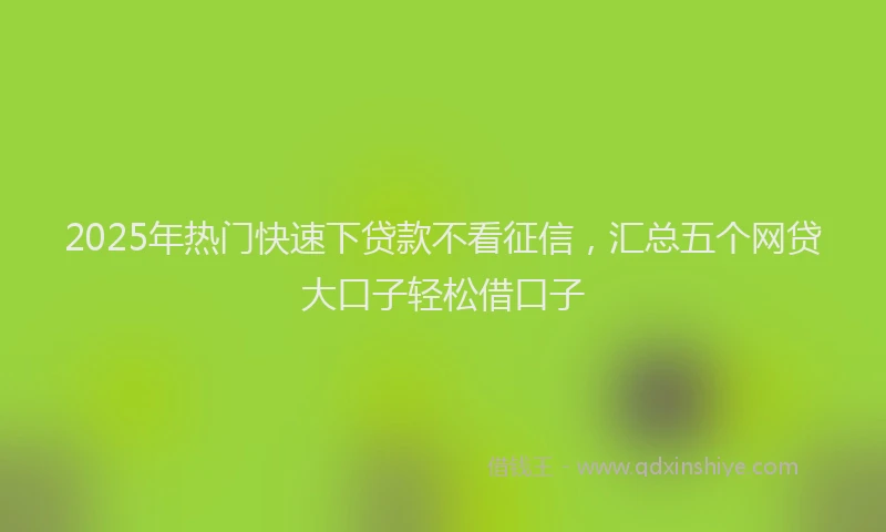 2025年热门快速下贷款不看征信，汇总五个网贷大口子轻松借口子