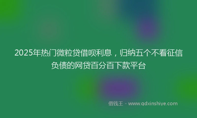 2025年热门微粒贷借呗利息，归纳五个不看征信负债的网贷百分百下款平台