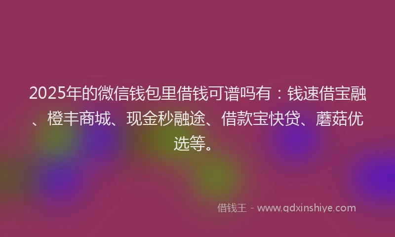 2025年的微信钱包里借钱可谱吗有：钱速借宝融、橙丰商城、现金秒融途、借款宝快贷、蘑菇优选等。