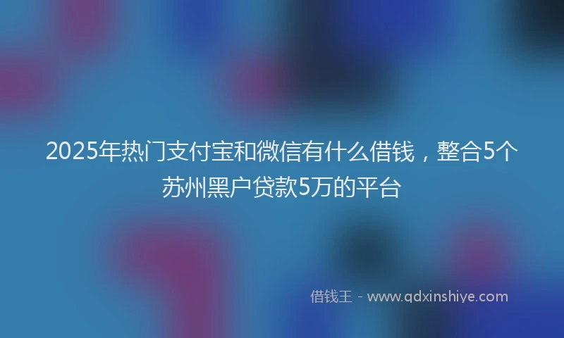 2025年热门支付宝和微信有什么借钱，整合5个苏州黑户贷款5万的平台