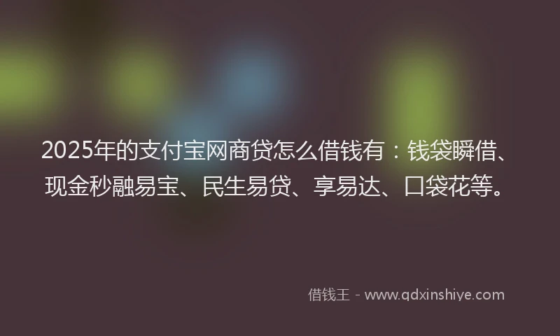 2025年的支付宝网商贷怎么借钱有：钱袋瞬借、现金秒融易宝、民生易贷、享易达、口袋花等。
