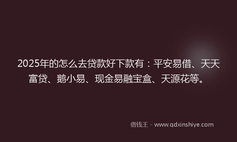 2025年的怎么去贷款好下款有：平安易借、天天富贷、鹅小易、现金易融宝盒、天源花等。
