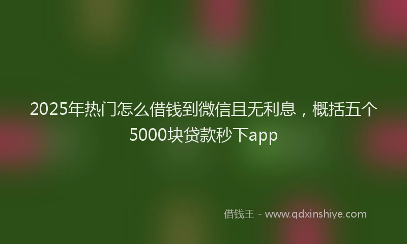 2025年热门怎么借钱到微信且无利息，概括五个5000块贷款秒下app