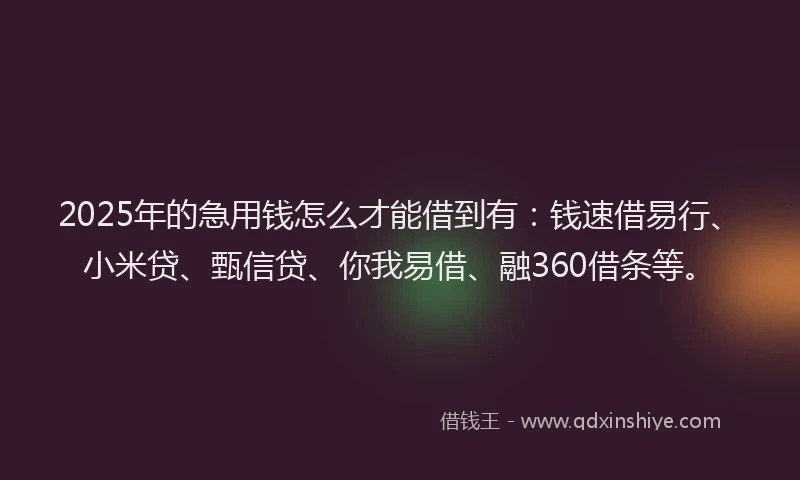 2025年的急用钱怎么才能借到有：钱速借易行、小米贷、甄信贷、你我易借、融360借条等。