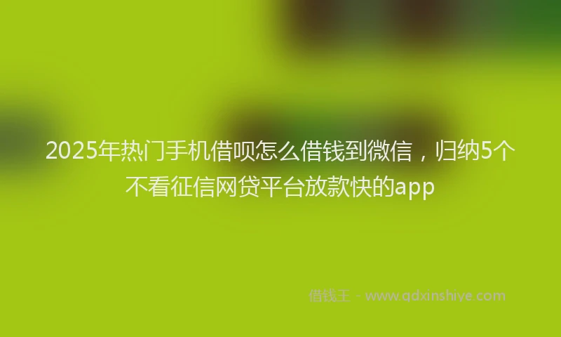 2025年热门手机借呗怎么借钱到微信，归纳5个不看征信网贷平台放款快的app