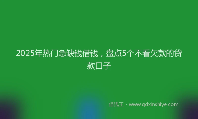 2025年热门急缺钱借钱，盘点5个不看欠款的贷款口子