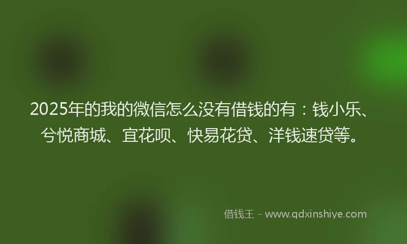 2025年的我的微信怎么没有借钱的有：钱小乐、兮悦商城、宜花呗、快易花贷、洋钱速贷等。