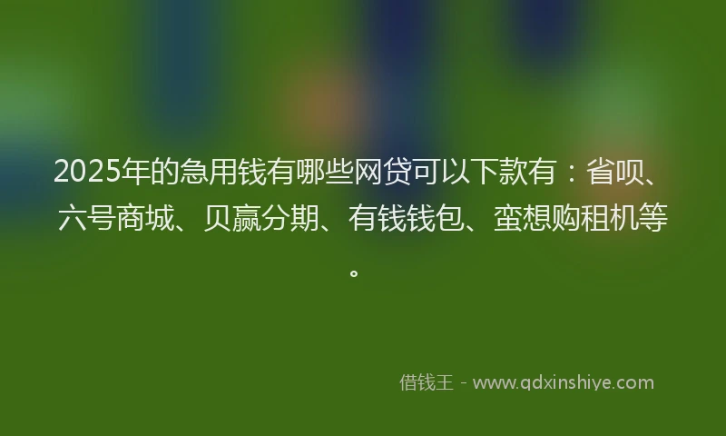 2025年的急用钱有哪些网贷可以下款有：省呗、六号商城、贝赢分期、有钱钱包、蛮想购租机等。