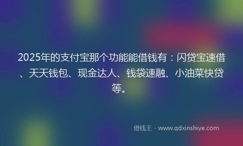 2025年的支付宝那个功能能借钱有：闪贷宝速借、天天钱包、现金达人、钱袋速融、小油菜快贷等。