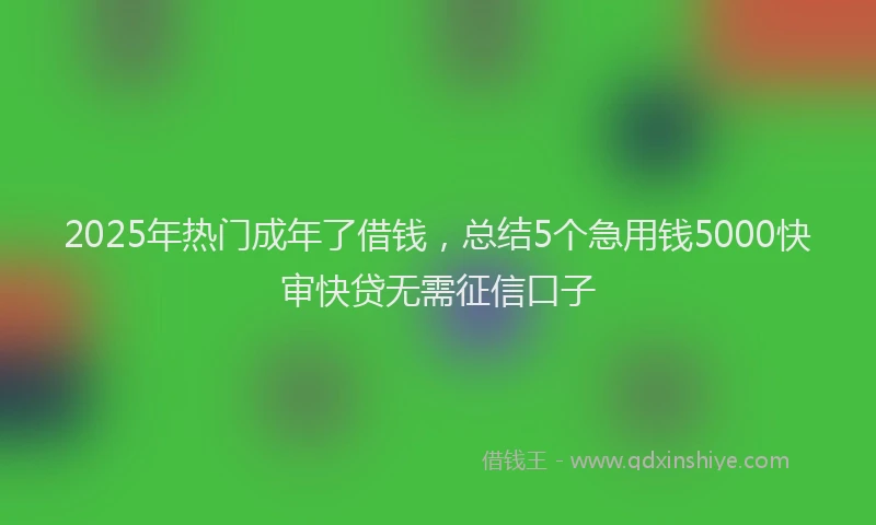 2025年热门成年了借钱，总结5个急用钱5000快审快贷无需征信口子