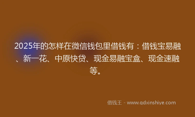 2025年的怎样在微信钱包里借钱有：借钱宝易融、新一花、中原快贷、现金易融宝盒、现金速融等。