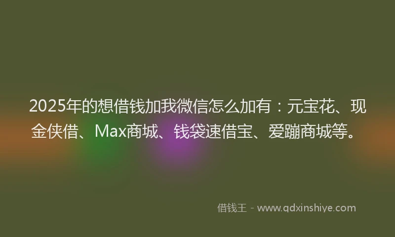 2025年的想借钱加我微信怎么加有：元宝花、现金侠借、Max商城、钱袋速借宝、爱蹦商城等。
