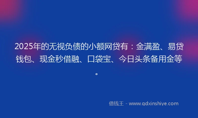 2025年的无视负债的小额网贷有：金满盈、易贷钱包、现金秒借融、口袋宝、今日头条备用金等。