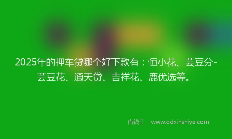 2025年的押车贷哪个好下款有：恒小花、芸豆分-芸豆花、通天贷、吉祥花、鹿优选等。