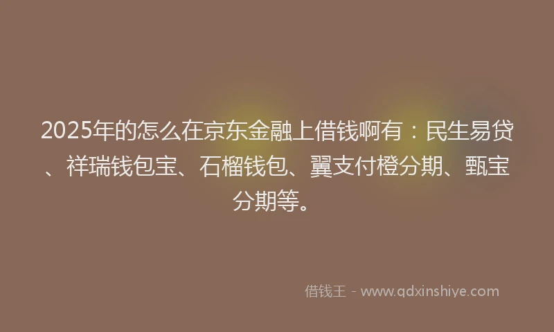 2025年的怎么在京东金融上借钱啊有：民生易贷、祥瑞钱包宝、石榴钱包、翼支付橙分期、甄宝分期等。