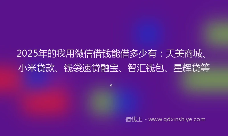 2025年的我用微信借钱能借多少有：天美商城、小米贷款、钱袋速贷融宝、智汇钱包、星辉贷等。