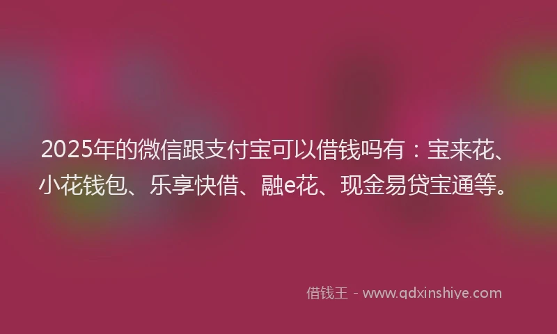 2025年的微信跟支付宝可以借钱吗有：宝来花、小花钱包、乐享快借、融e花、现金易贷宝通等。