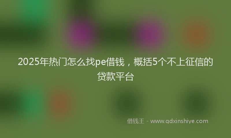 2025年热门怎么找pe借钱，概括5个不上征信的贷款平台