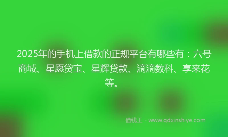 2025年的手机上借款的正规平台有哪些有：六号商城、星愿贷宝、星辉贷款、滴滴数科、享来花等。