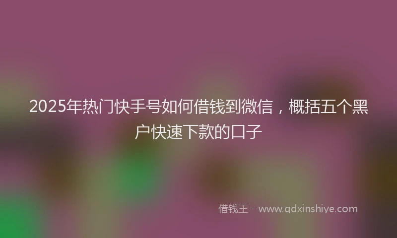 2025年热门快手号如何借钱到微信，概括五个黑户快速下款的口子