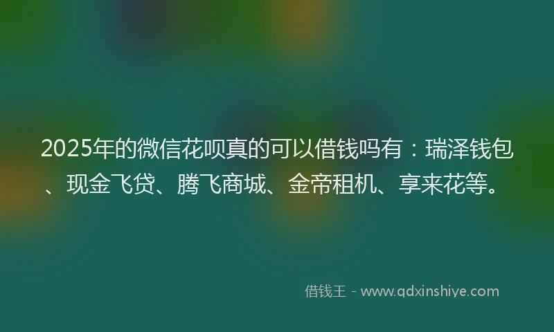 2025年的微信花呗真的可以借钱吗有：瑞泽钱包、现金飞贷、腾飞商城、金帝租机、享来花等。