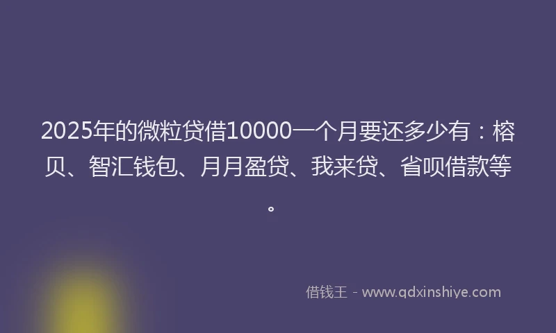 2025年的微粒贷借10000一个月要还多少有：榕贝、智汇钱包、月月盈贷、我来贷、省呗借款等。