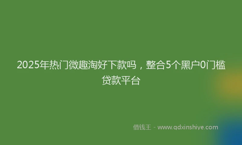 2025年热门微趣淘好下款吗，整合5个黑户0门槛贷款平台