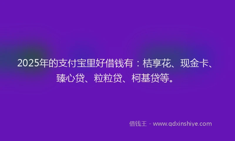 2025年的支付宝里好借钱有：桔享花、现金卡、臻心贷、粒粒贷、柯基贷等。