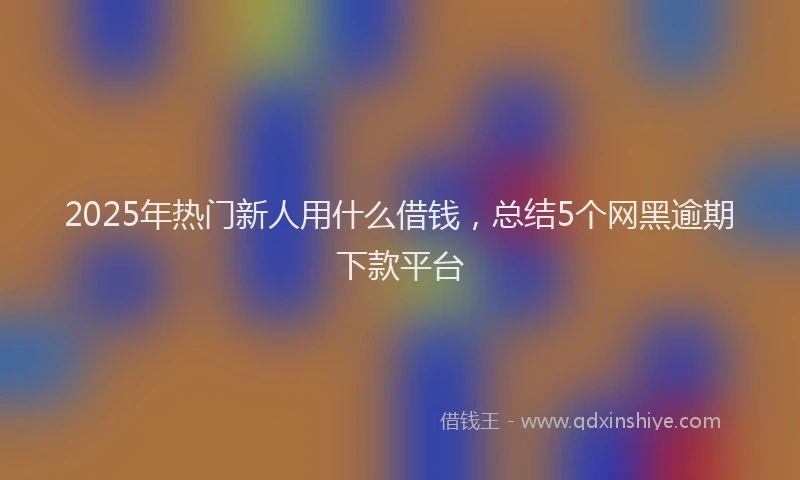 2025年热门新人用什么借钱，总结5个网黑逾期下款平台