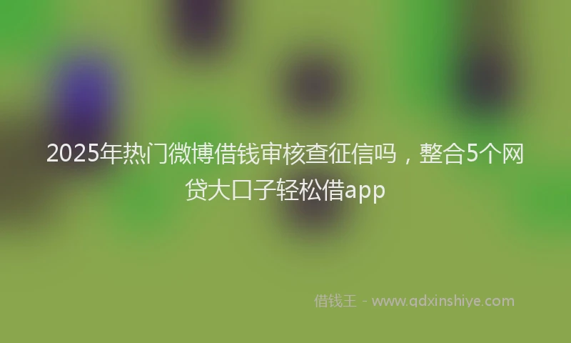 2025年热门微博借钱审核查征信吗，整合5个网贷大口子轻松借app
