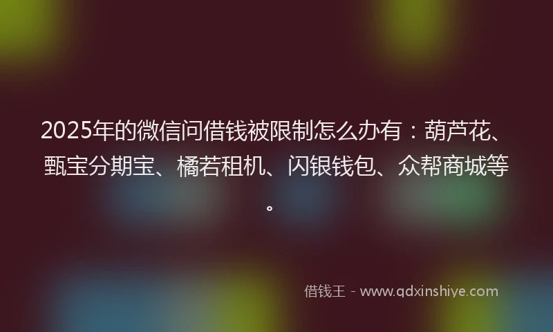 2025年的微信问借钱被限制怎么办有：葫芦花、甄宝分期宝、橘若租机、闪银钱包、众帮商城等。