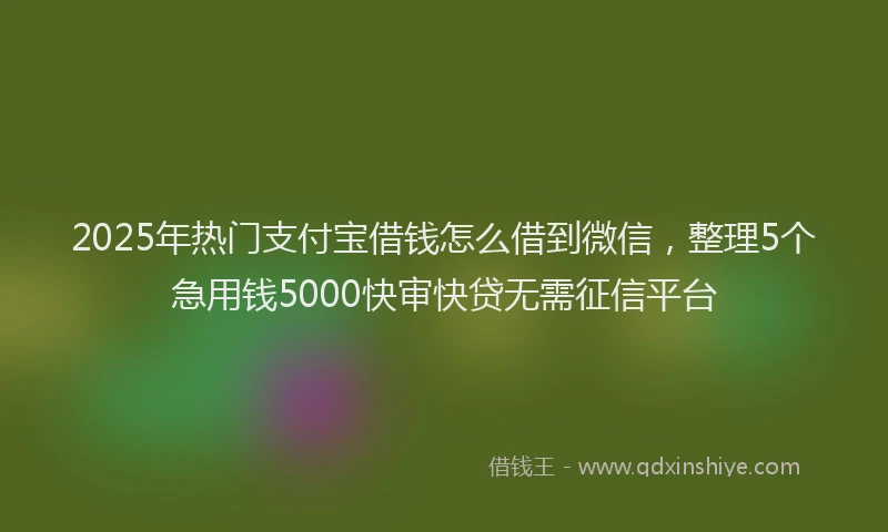 2025年热门支付宝借钱怎么借到微信，整理5个急用钱5000快审快贷无需征信平台