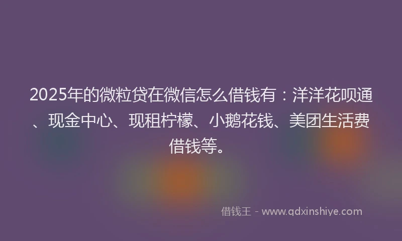 2025年的微粒贷在微信怎么借钱有：洋洋花呗通、现金中心、现租柠檬、小鹅花钱、美团生活费借钱等。