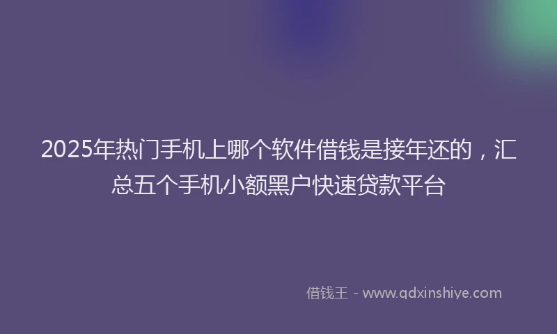 2025年热门手机上哪个软件借钱是接年还的，汇总五个手机小额黑户快速贷款平台