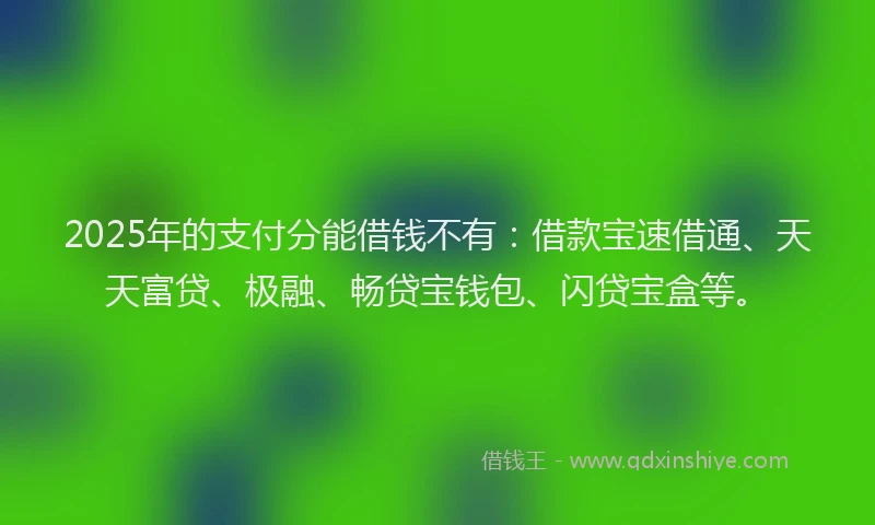 2025年的支付分能借钱不有：借款宝速借通、天天富贷、极融、畅贷宝钱包、闪贷宝盒等。