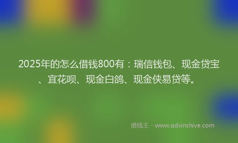 2025年的怎么借钱800有：瑞信钱包、现金贷宝、宜花呗、现金白鸽、现金侠易贷等。