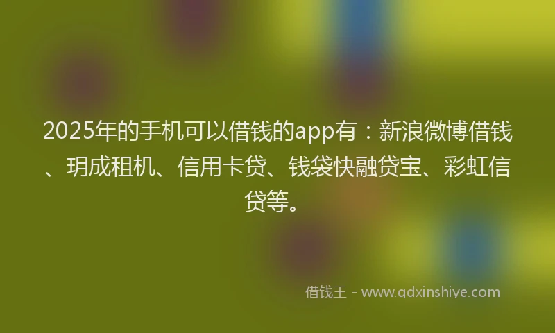 2025年的手机可以借钱的app有：新浪微博借钱、玥成租机、信用卡贷、钱袋快融贷宝、彩虹信贷等。