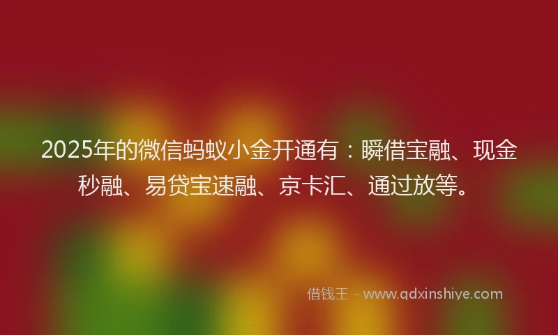 2025年的微信蚂蚁小金开通有：瞬借宝融、现金秒融、易贷宝速融、京卡汇、通过放等。