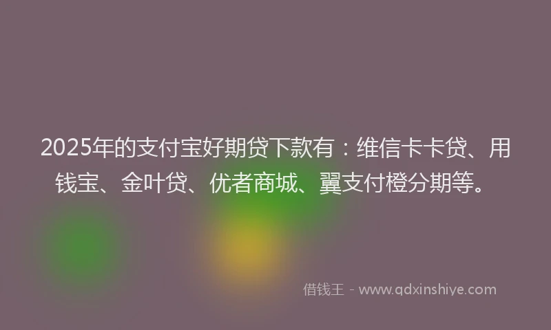 2025年的支付宝好期贷下款有：维信卡卡贷、用钱宝、金叶贷、优者商城、翼支付橙分期等。