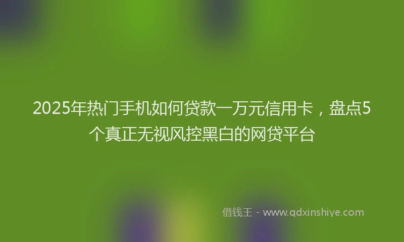 2025年热门手机如何贷款一万元信用卡，盘点5个真正无视风控黑白的网贷平台