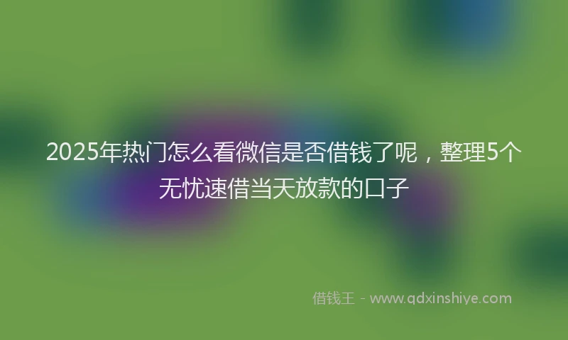 2025年热门怎么看微信是否借钱了呢，整理5个无忧速借当天放款的口子