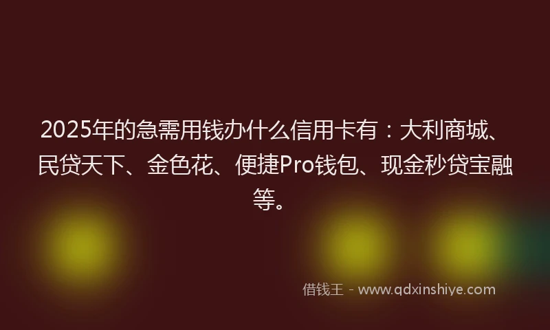 2025年的急需用钱办什么信用卡有：大利商城、民贷天下、金色花、便捷Pro钱包、现金秒贷宝融等。
